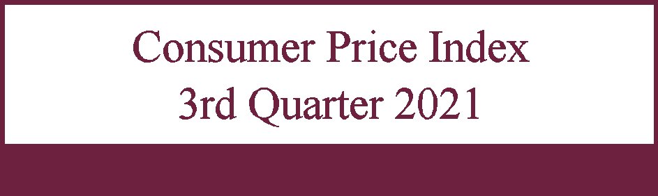 The Consumer Price Index Increased From 111.4 In June 2021 To Reach 111 ...